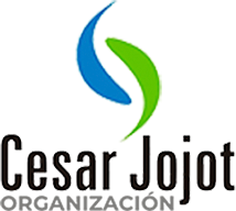 Logo 9